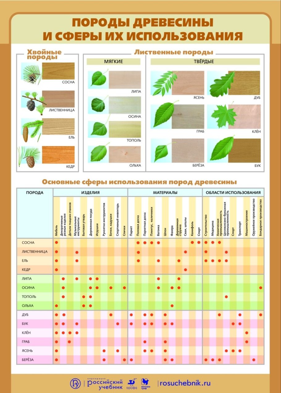 Высота хвойных деревьев таблица