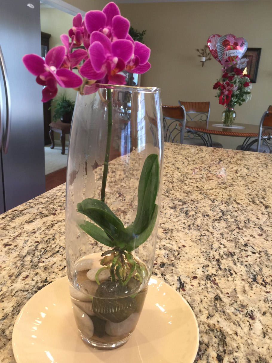 Гидрогель для растений