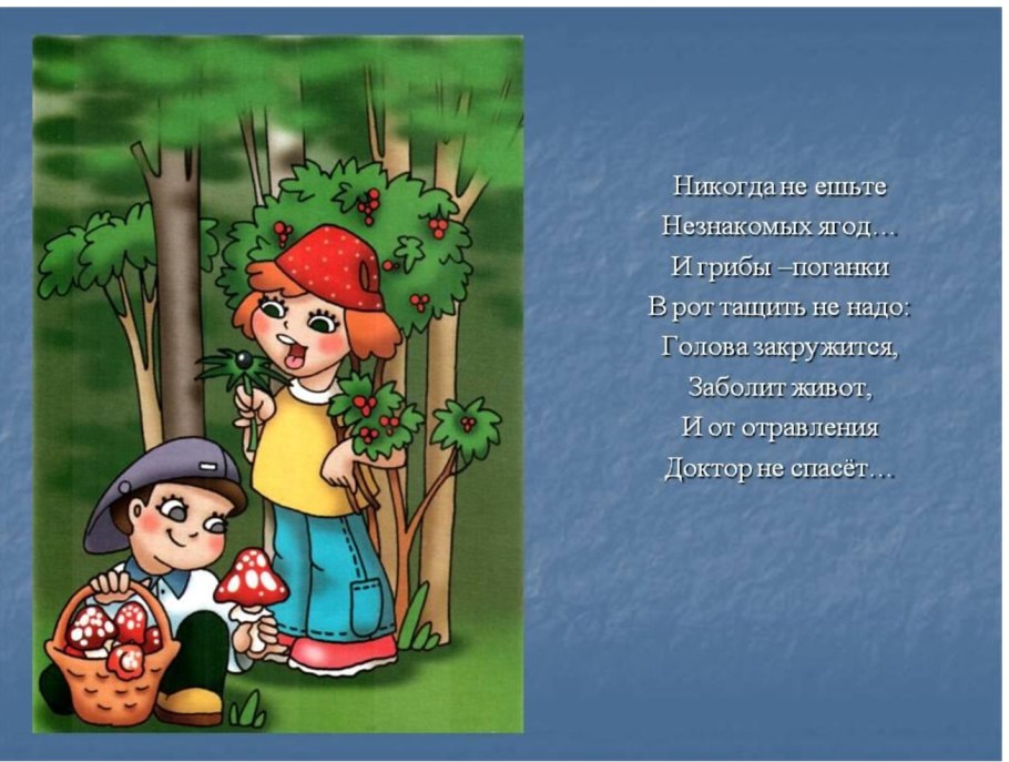 Растение Волчье лыко (Волчеягодник обыкновенный)