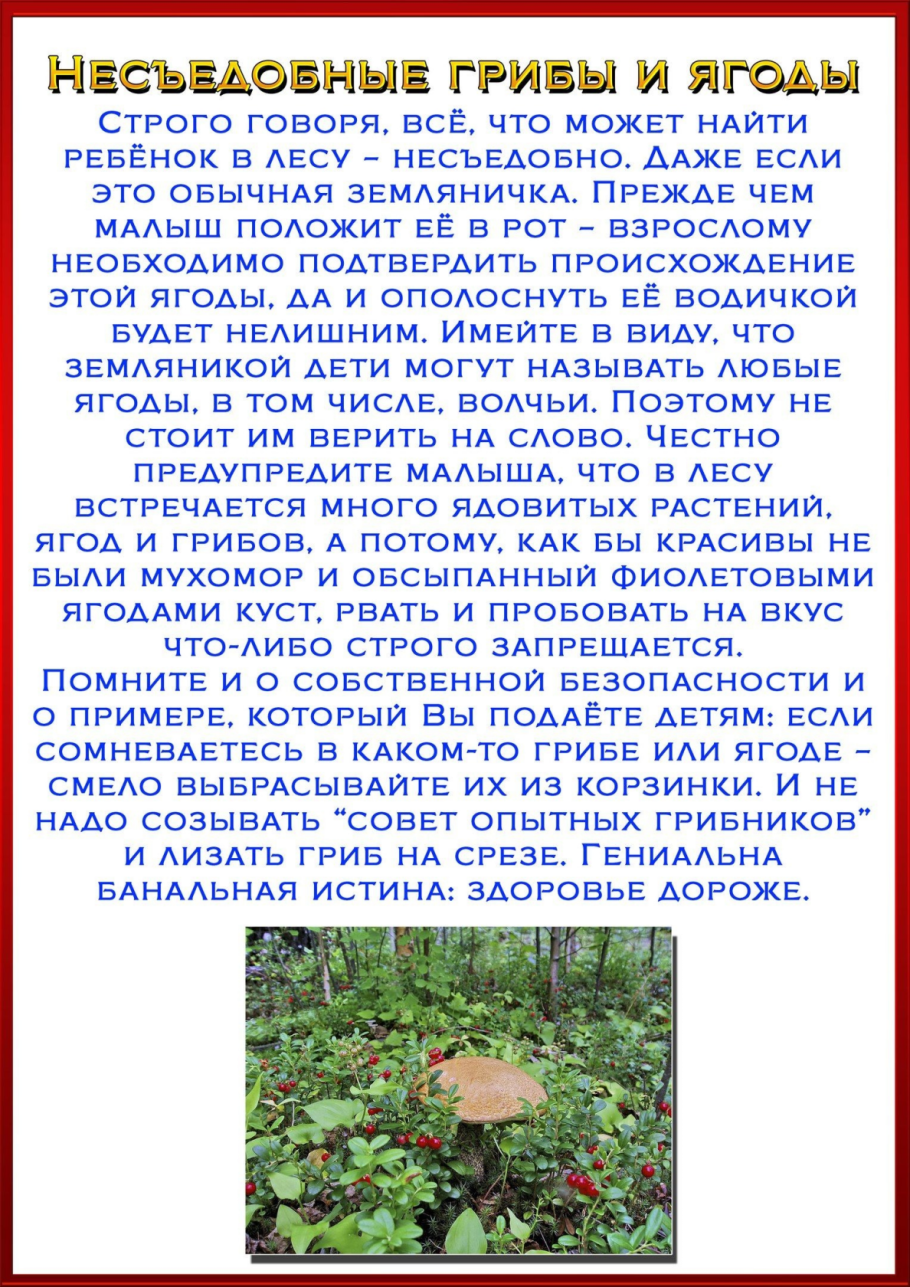 Консультация для родителей грибы и ягоды