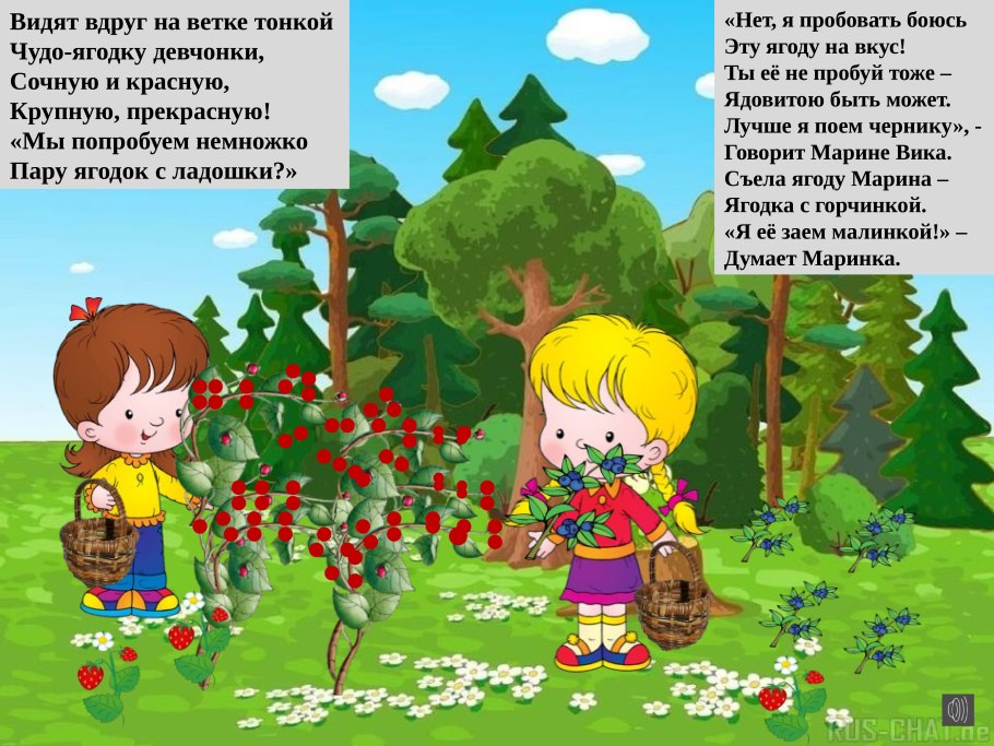 Правила поведения в лесу грибы