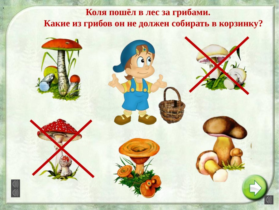 Несъедобные грибы и ягоды