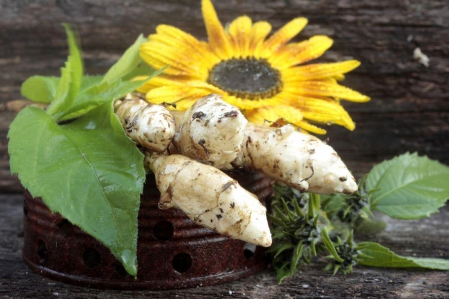 Химический состав топинамбура