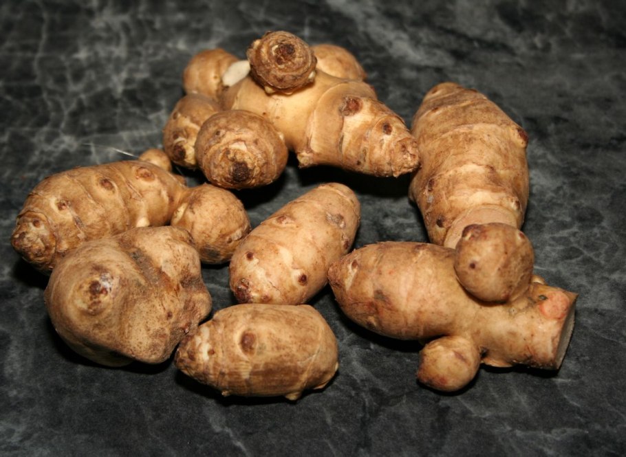 Топинамбур пищевой