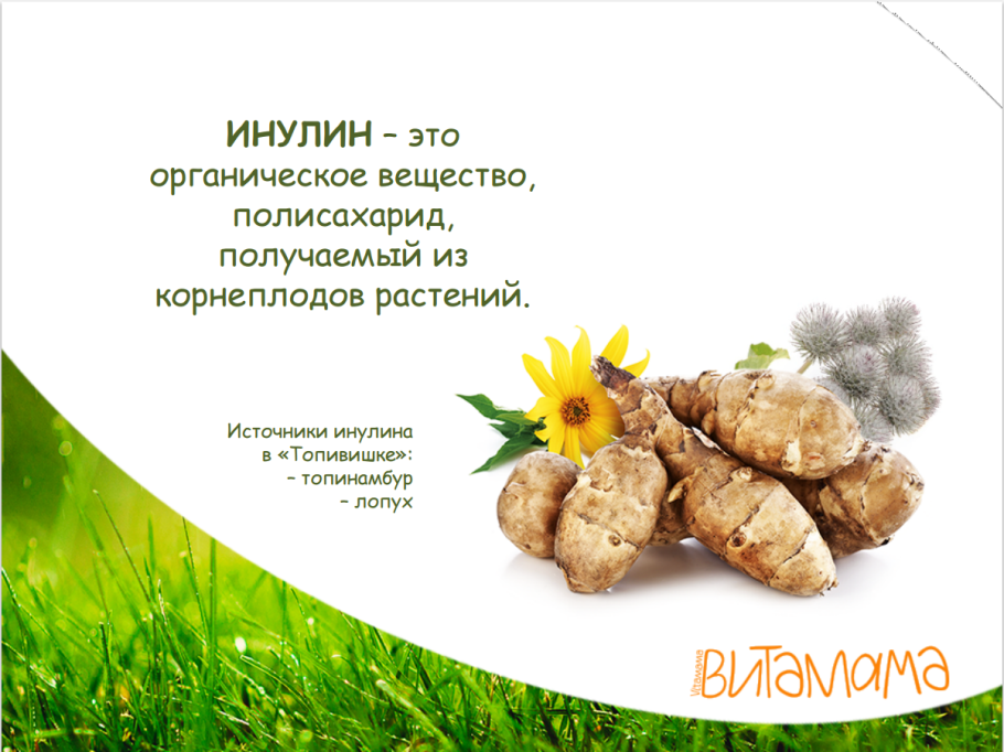 Топинамбур скороспелка