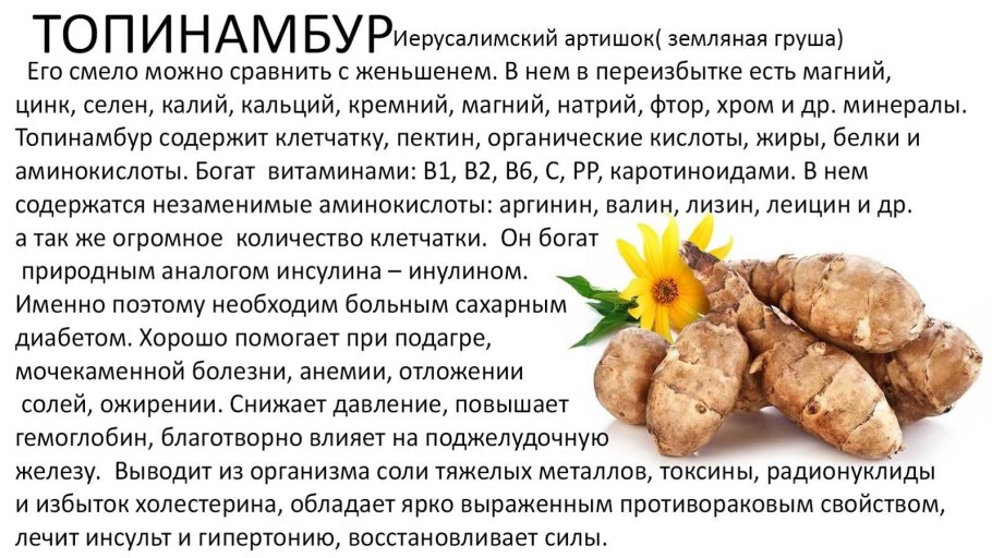 Сироп топинамбура полезные свойства