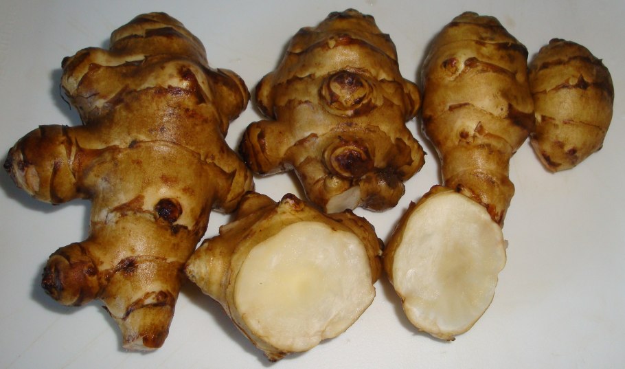 Топинамбур Пасько