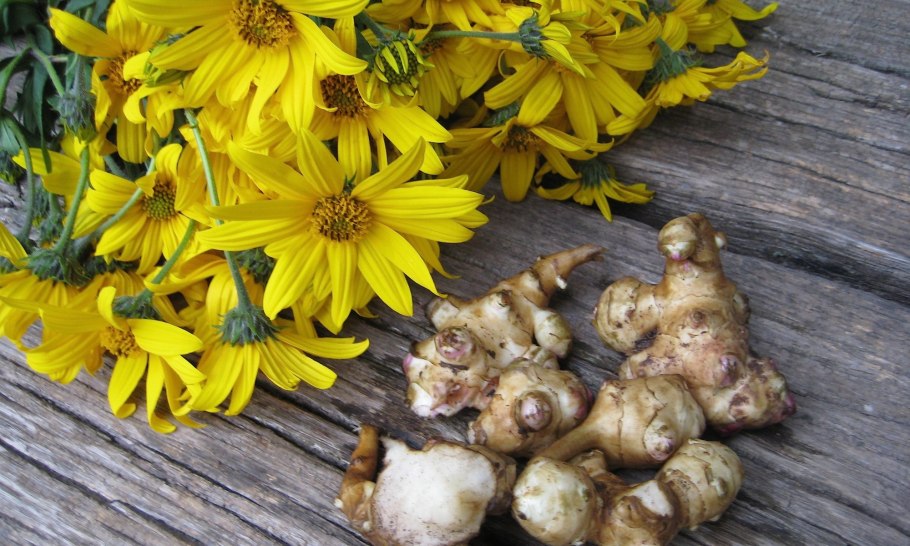 Сироп из топинамбура