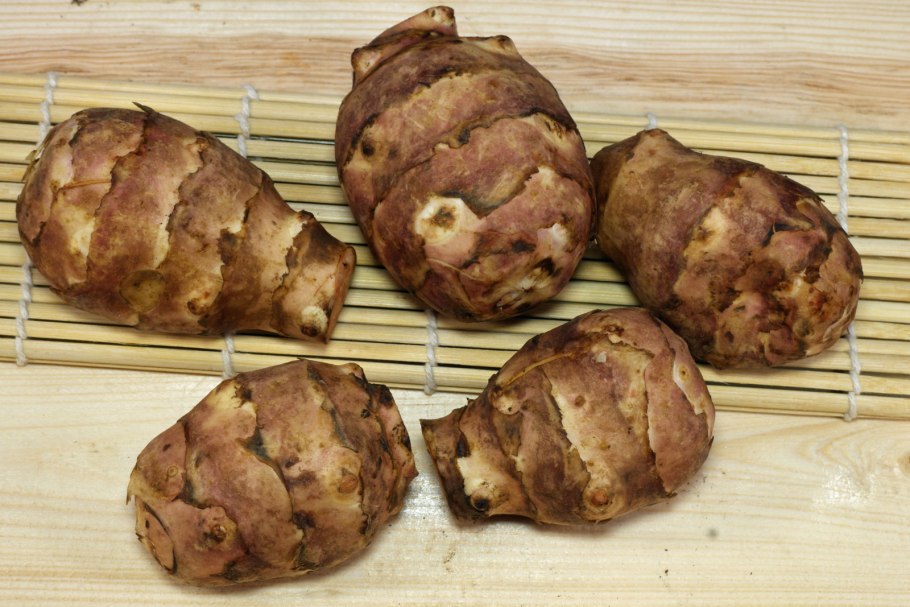 Земляная груша топинамбур полезные