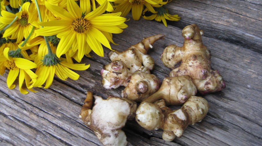 Топинамбур Вадим