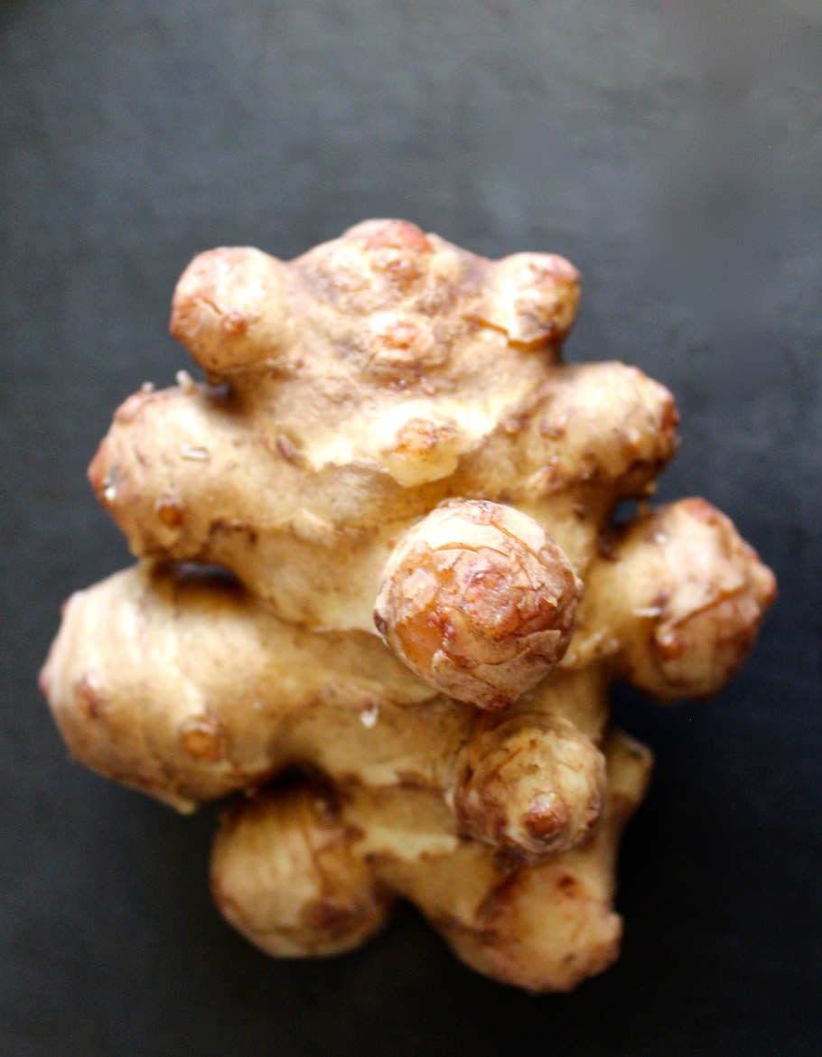 Столоны у топинамбура