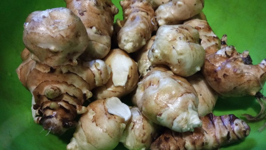 Клубень топинамбура Земляной груши