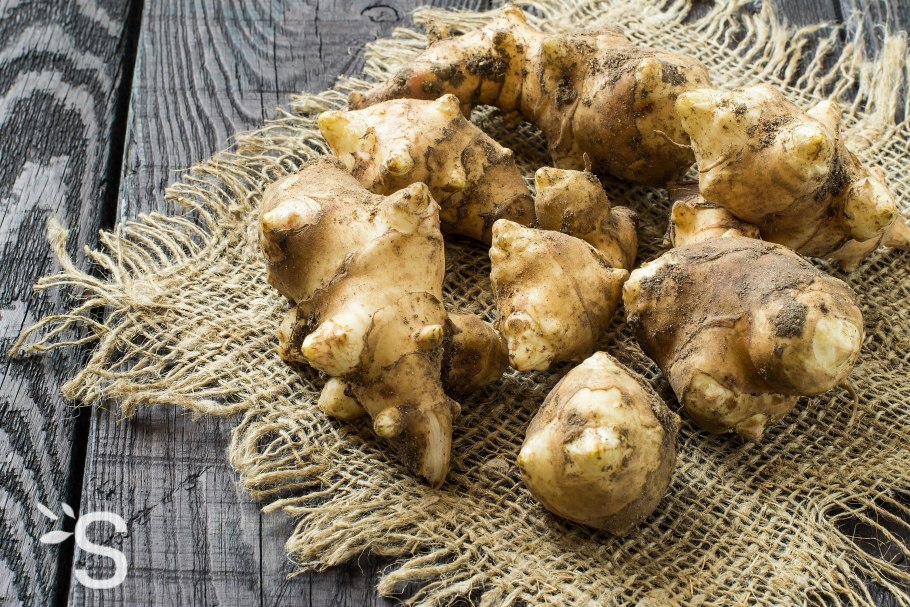 Дикая картошка топинамбур