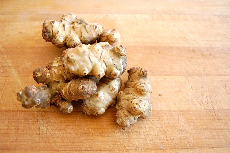 Женьшень вектор