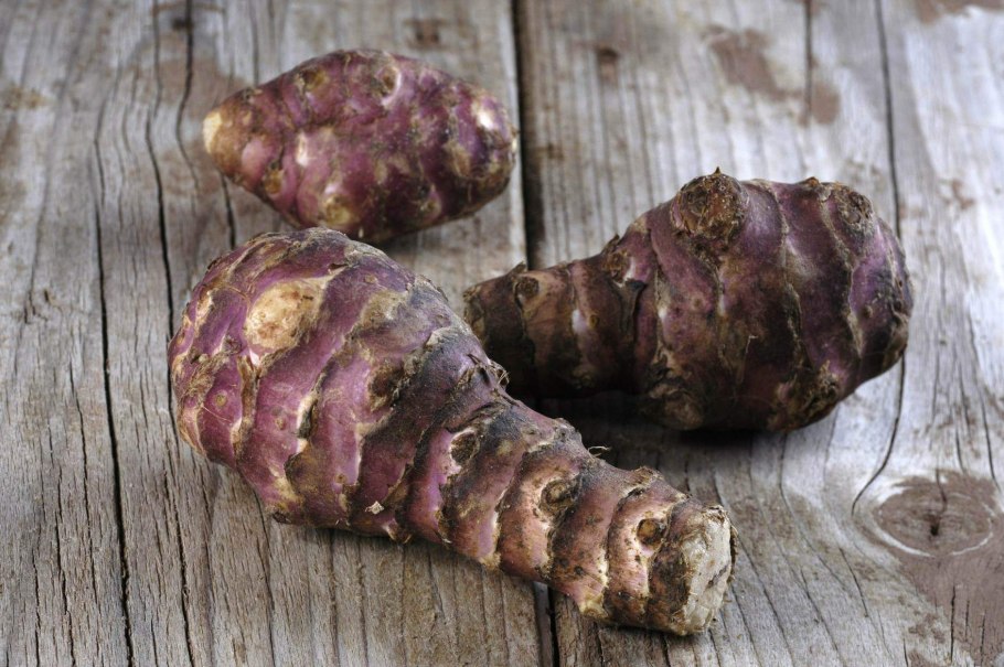 Клубень топинамбура Земляной груши