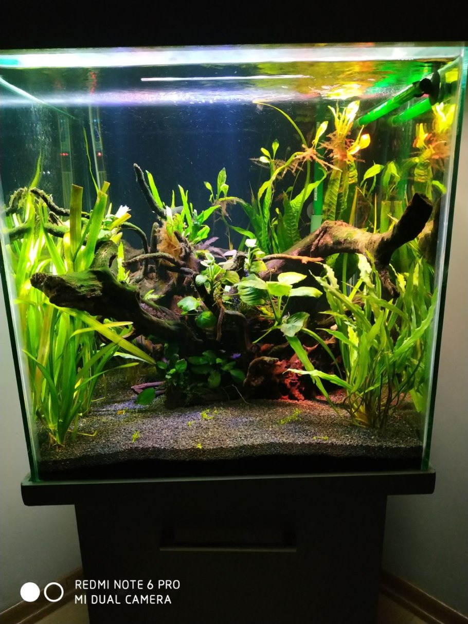 Аквариум травник литров