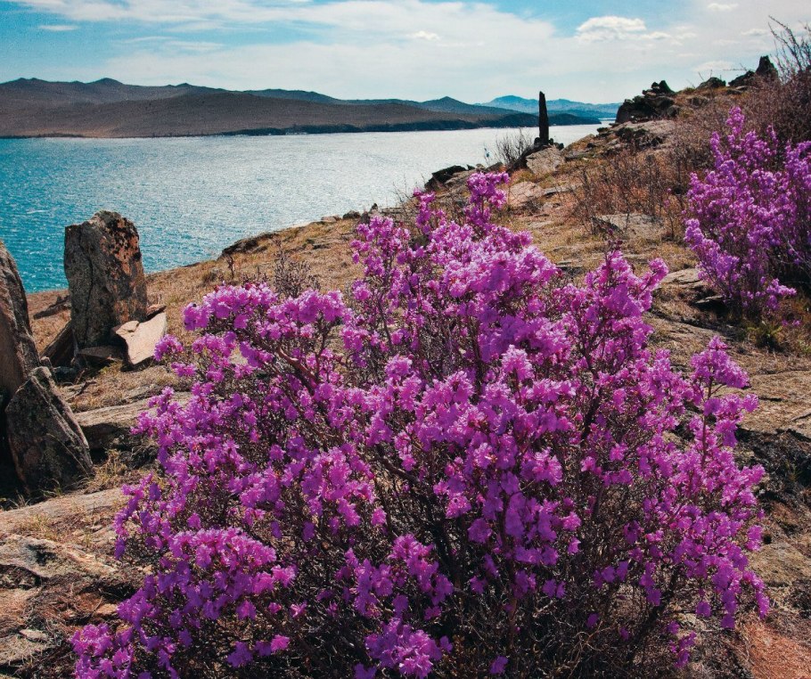 Прибайкальский национальный парк