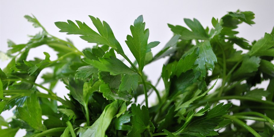 Петрушка parsley