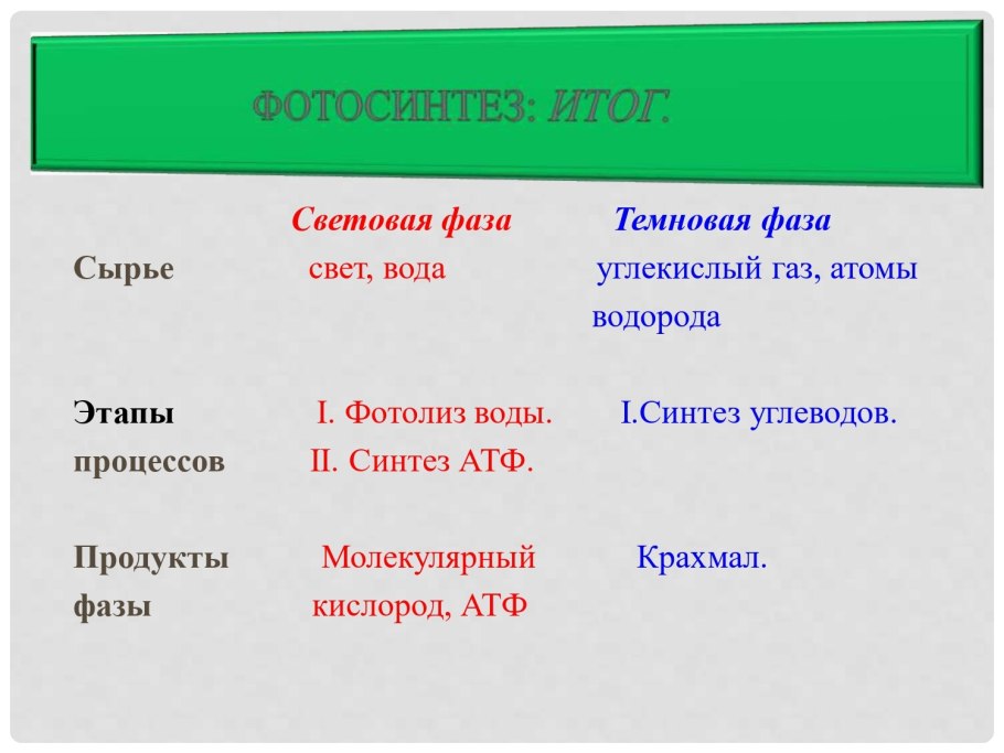Этапы фотосинтеза таблица