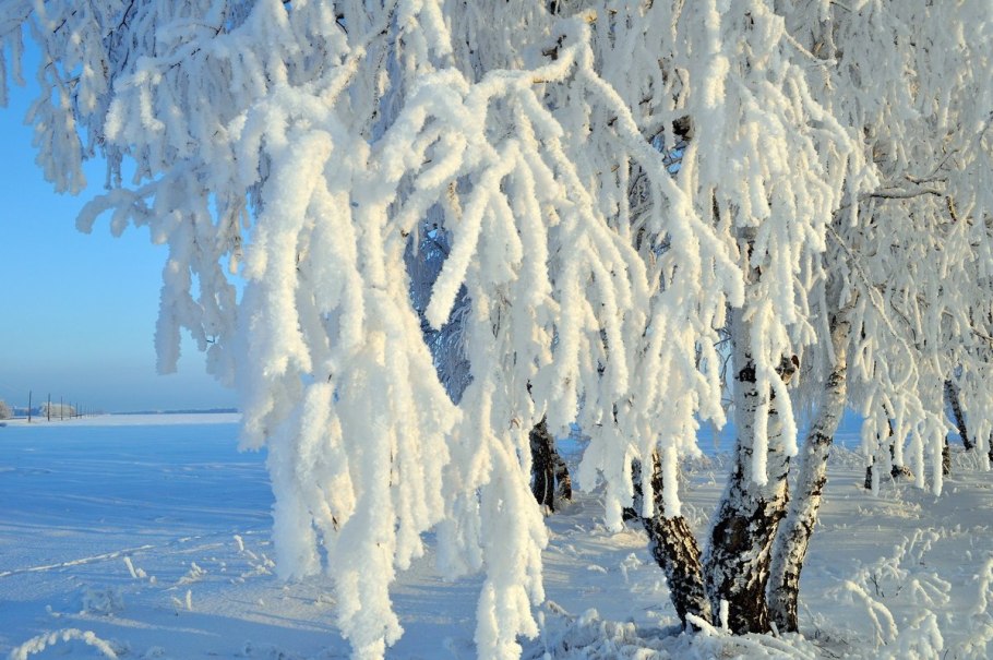 Снежная кайма