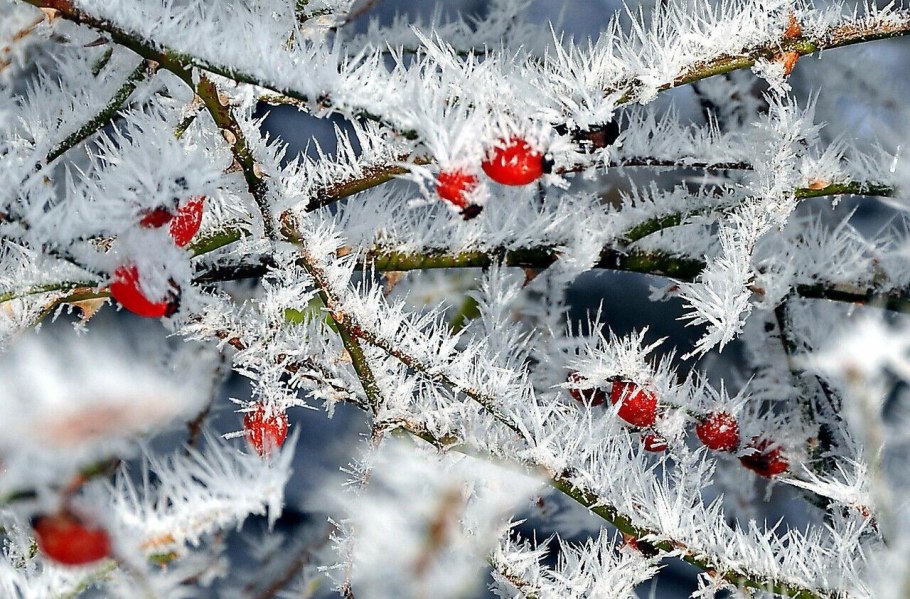 Февраль природа
