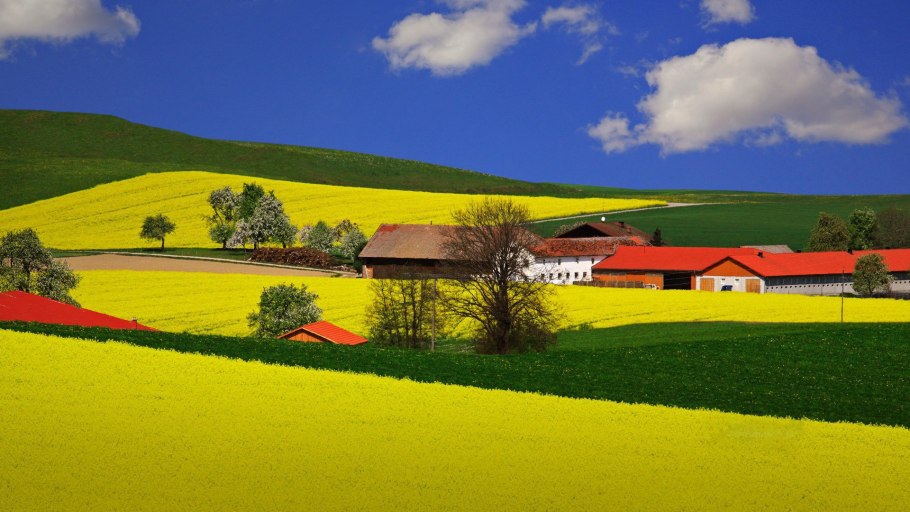 Красивая ферма