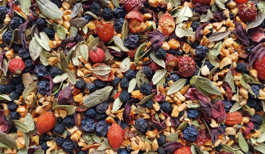 Гвоздичное дерево на белом фоне