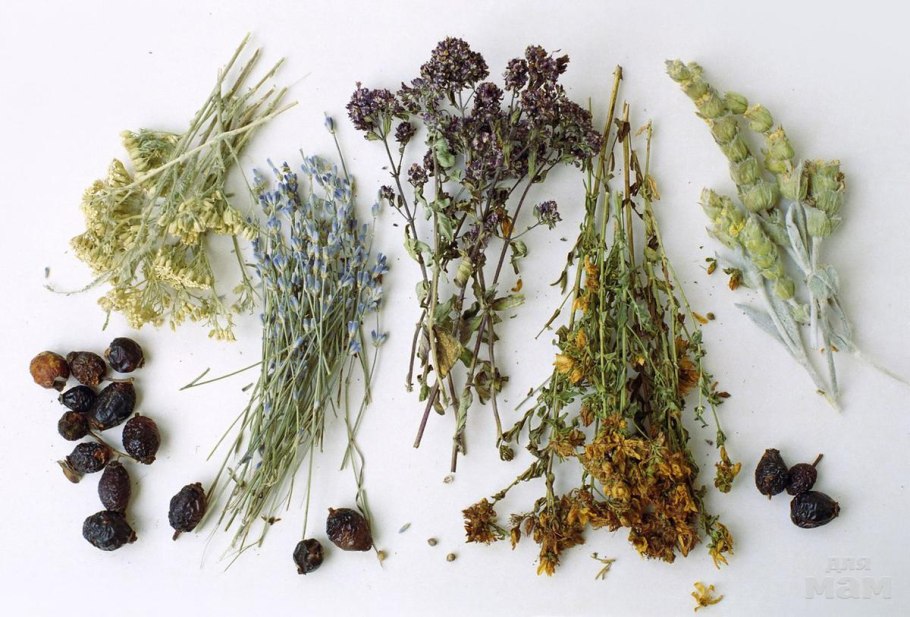 Лекарственная трава