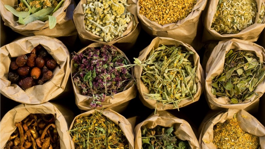 Семена съедобных трав