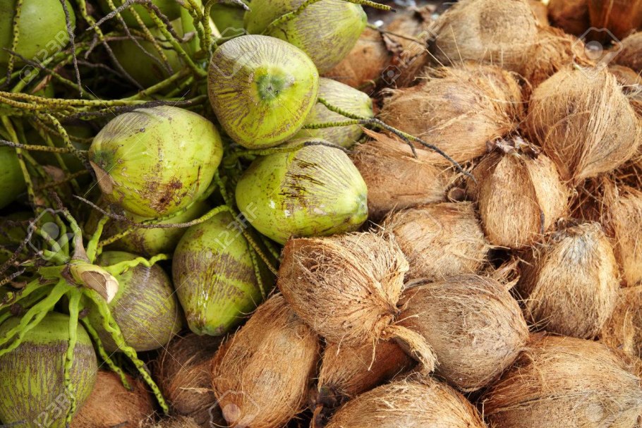 Гвоздика семена гвоздичного дерева