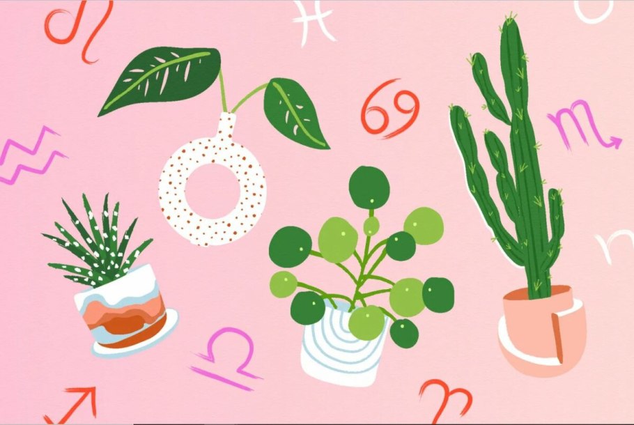 Цветок символ скорпиона