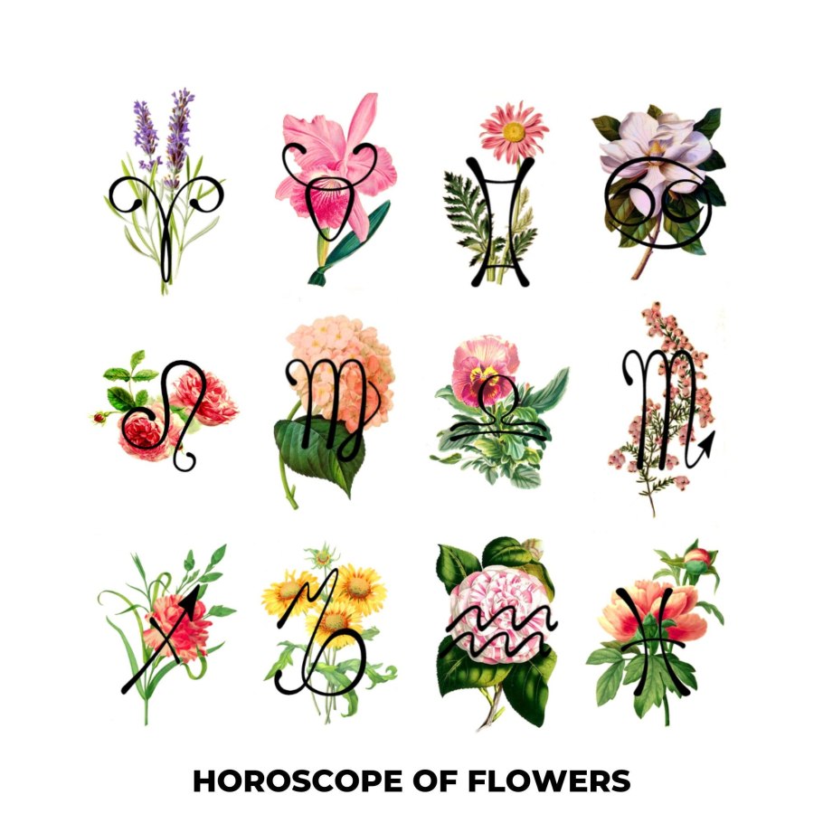 Цветочный гороскоп