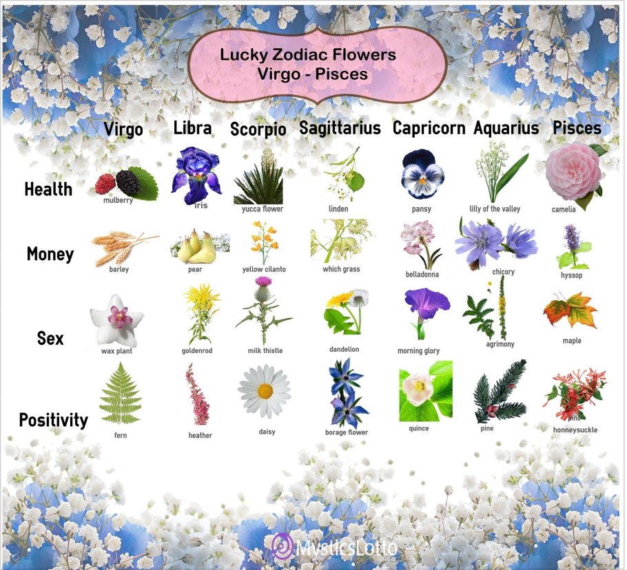 Цветочный гороскоп