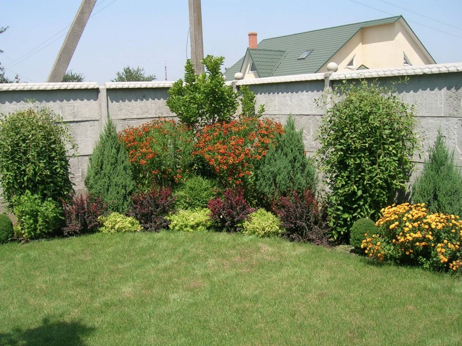 Теневыносливые хвойники