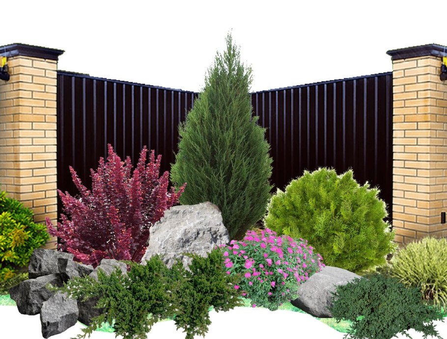 Живая изгородь миксбордер