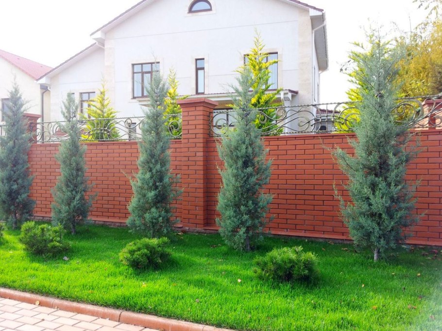 Озеленение участка