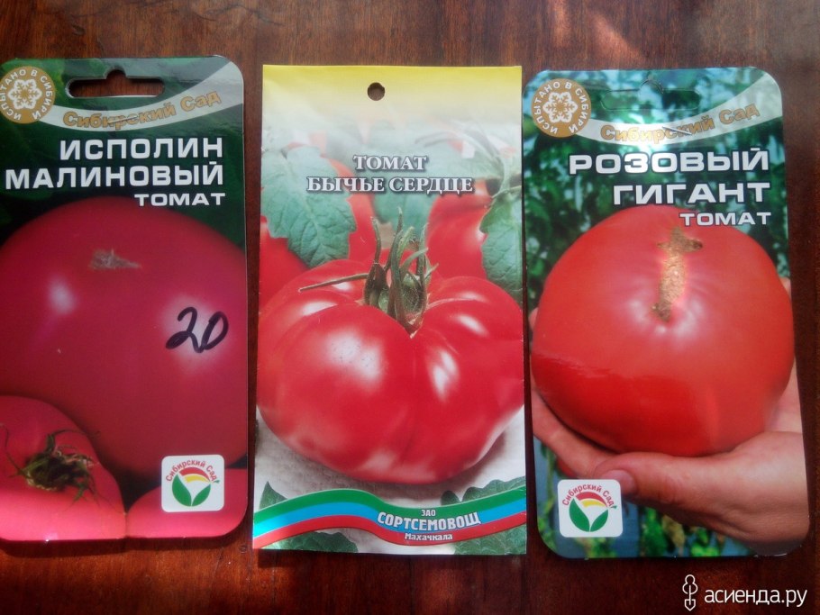 Томат исполин малиновый Сибирский сад