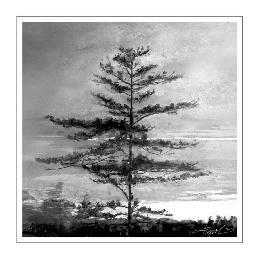 Ливанский кедр фитонциды