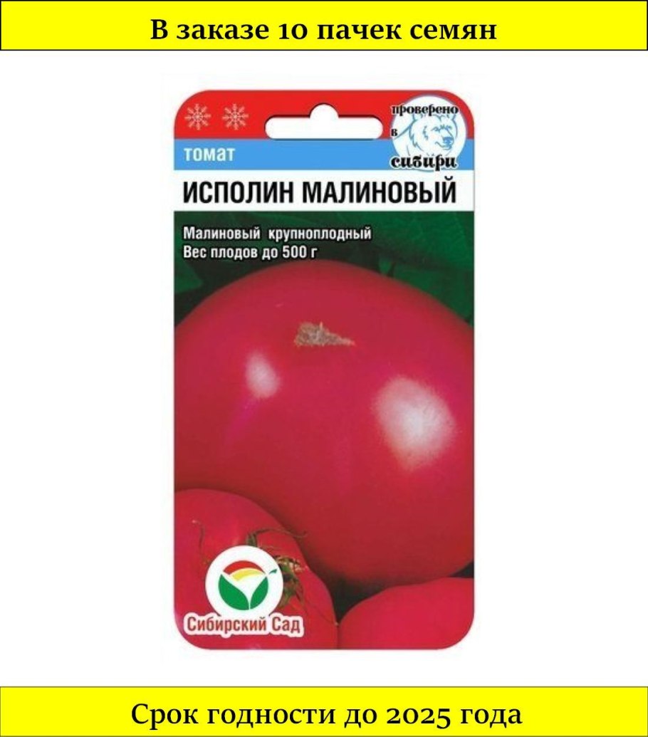 Сосна Кедровая Сибирская саженцы