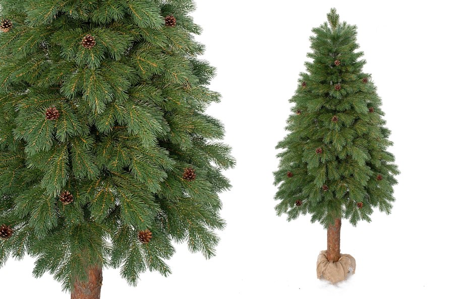 Информация о сосне