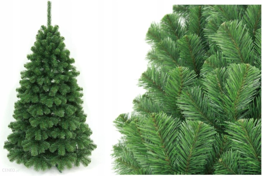 • Сосна Кедровая стланниковая compacta