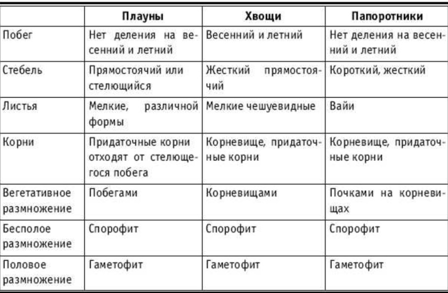 Сравнительная характеристика споровых растений таблица