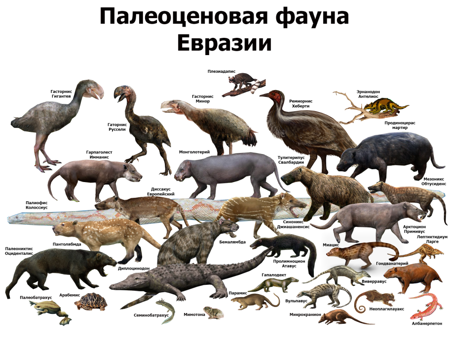 Латинская Америка Континент