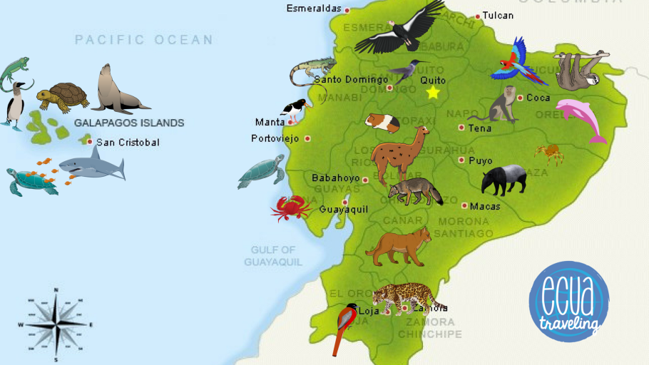 Животные Австралии на карте