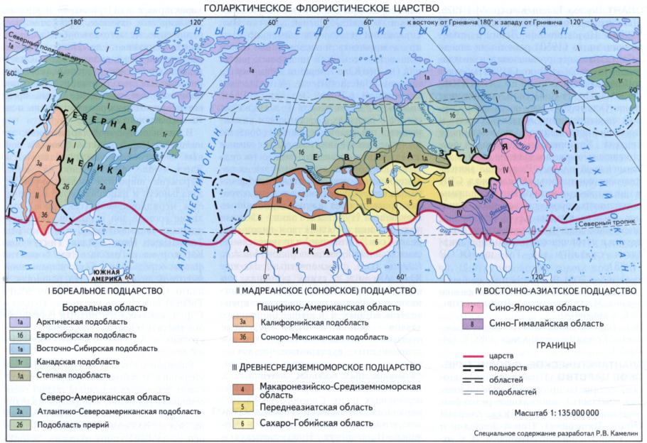 Природные зоны Южной Америки Сельва