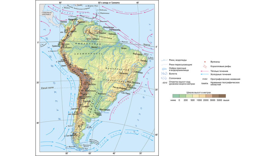 Тропические леса амазонки в Бразилии