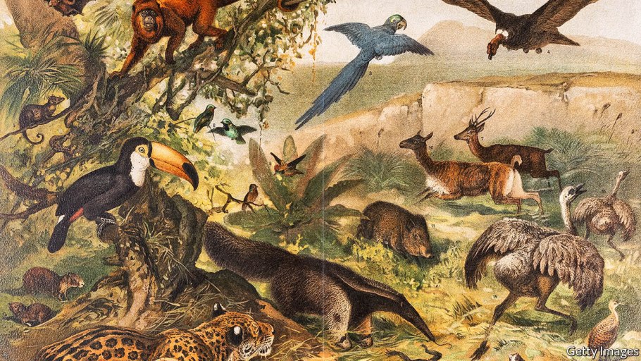 Капское флористическое царство на карте