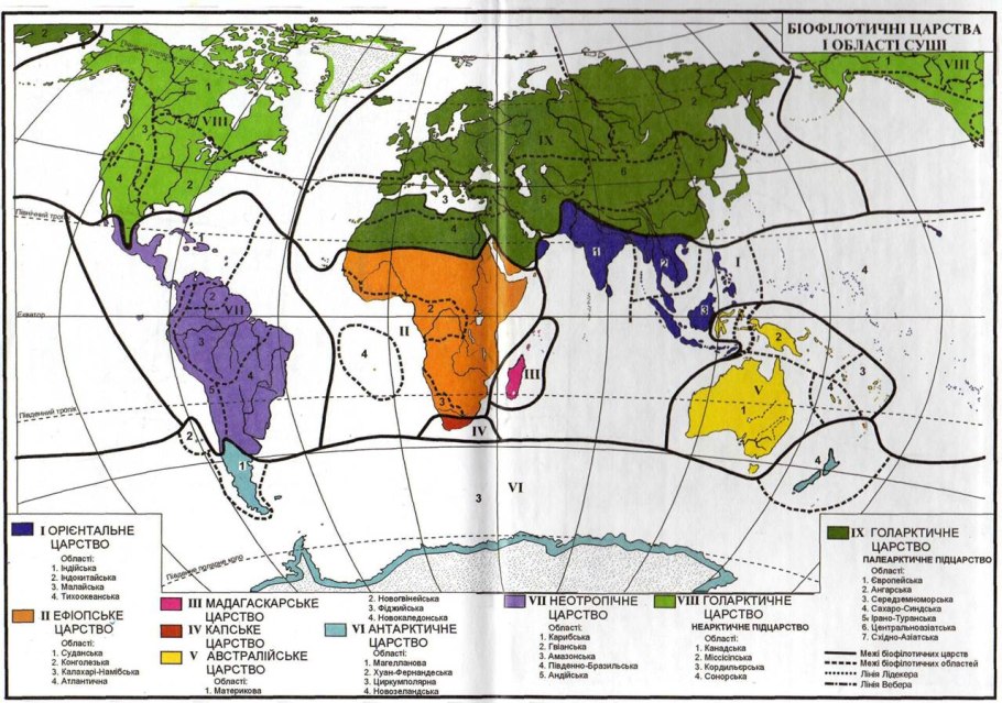 Флористическое районирование суши по Тахтаджяну