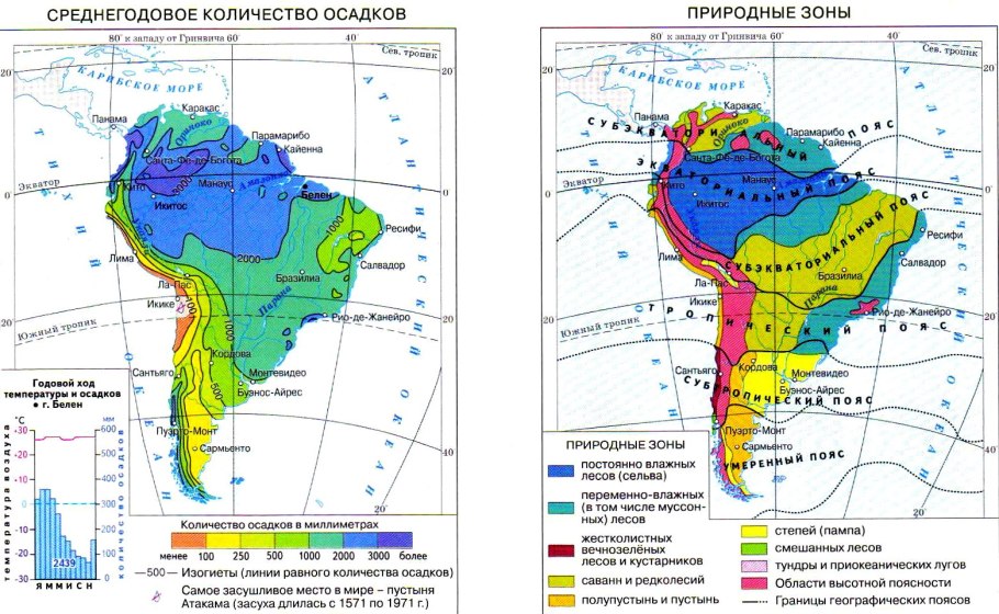 Какие растения в Африке