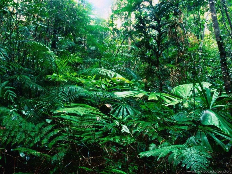 Биологическая систематика